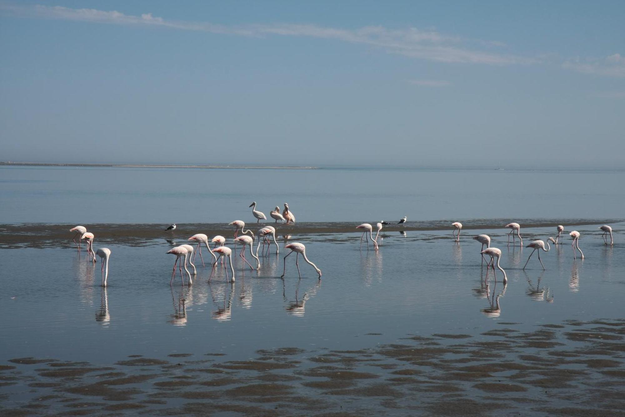 Lagoon Lodge Walvis Bay Zewnętrze zdjęcie