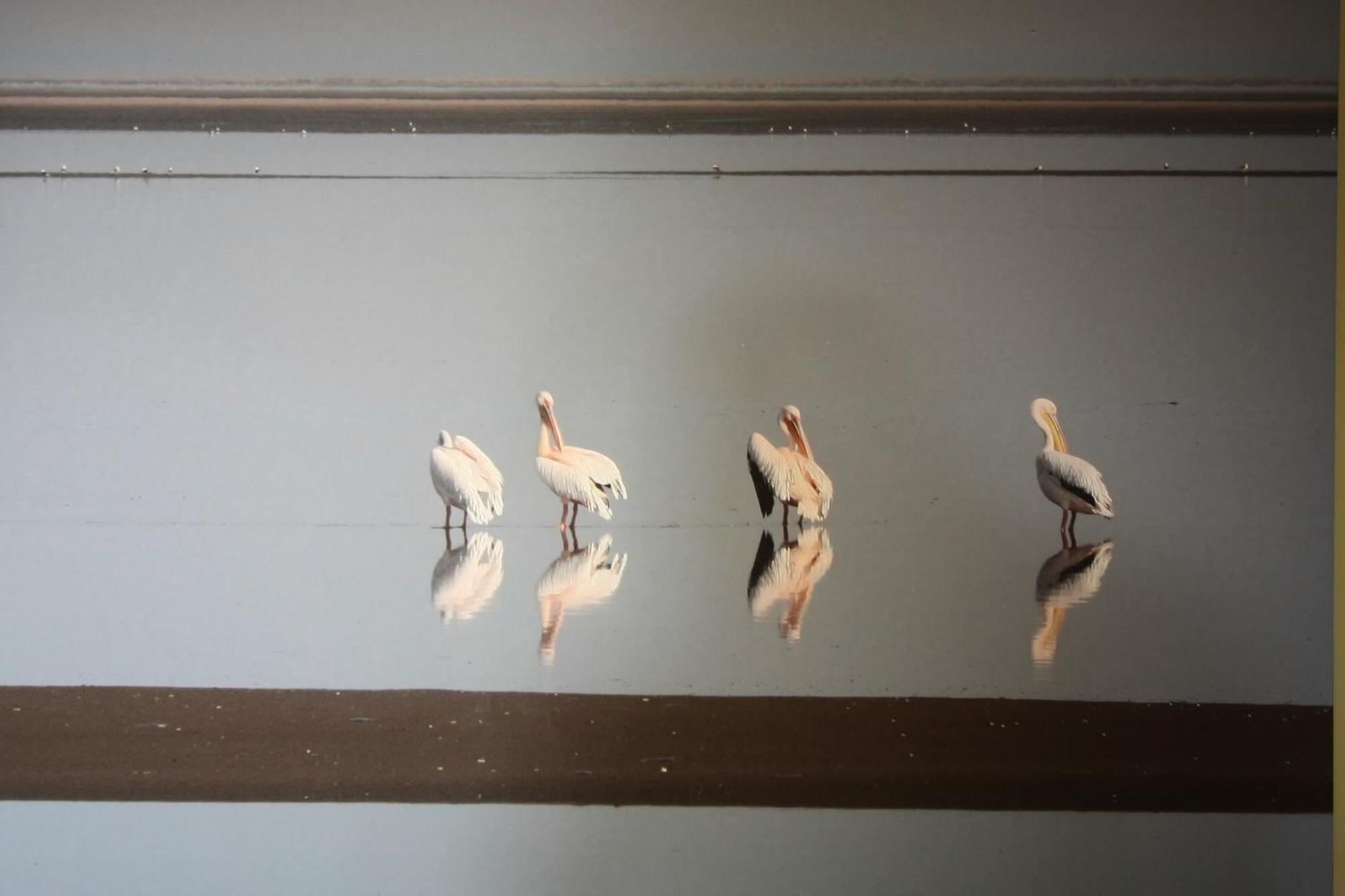 Lagoon Lodge Walvis Bay Zewnętrze zdjęcie